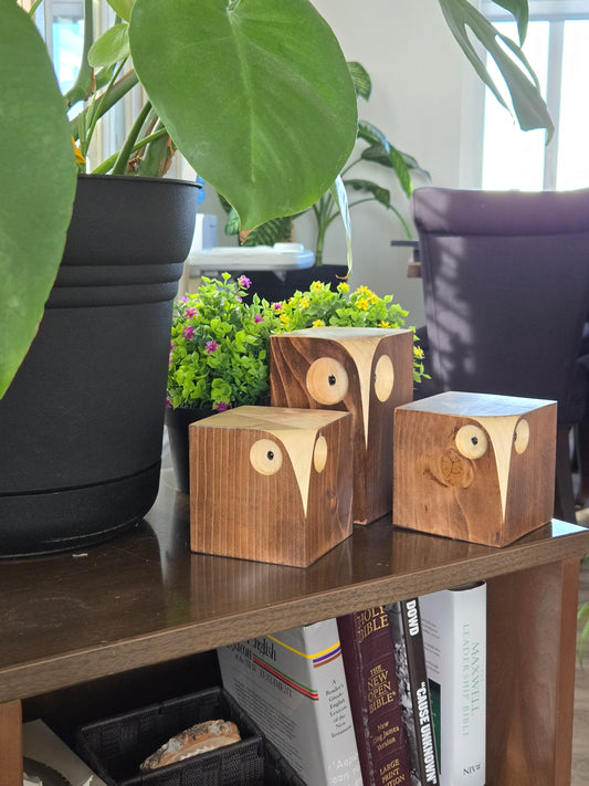 3 Piece Owl Set