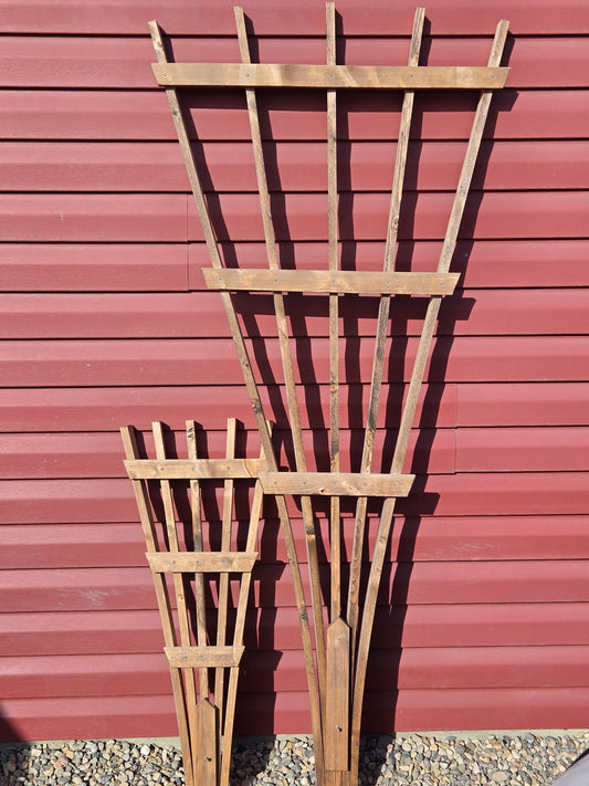 Large and Small Garden Trellis